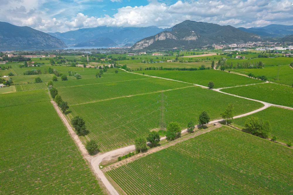 Cosa fare in Franciacorta vigneti in Franciacorta