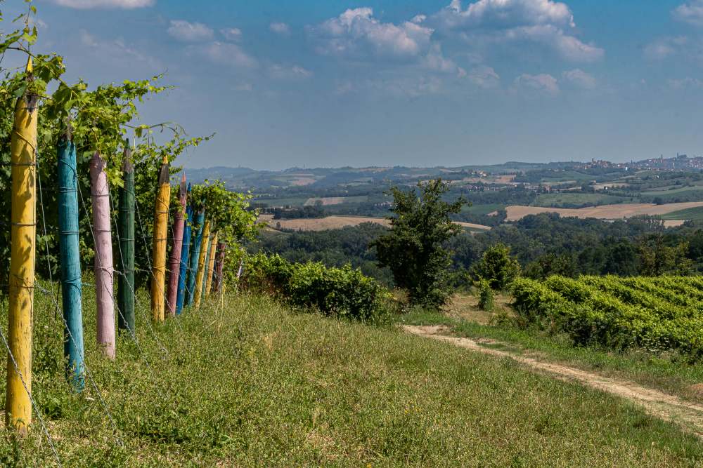 Visita agli Infernot Colline Basso Monferrato